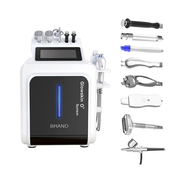 10 in 1 Korean Hydra Dermabrasion Aqua Silk Peel RF Bio Ultrasonic Massage Facial Machine for Skin Care